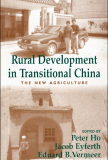 Rural Development in Transitional China