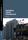 Unmaking China's Development